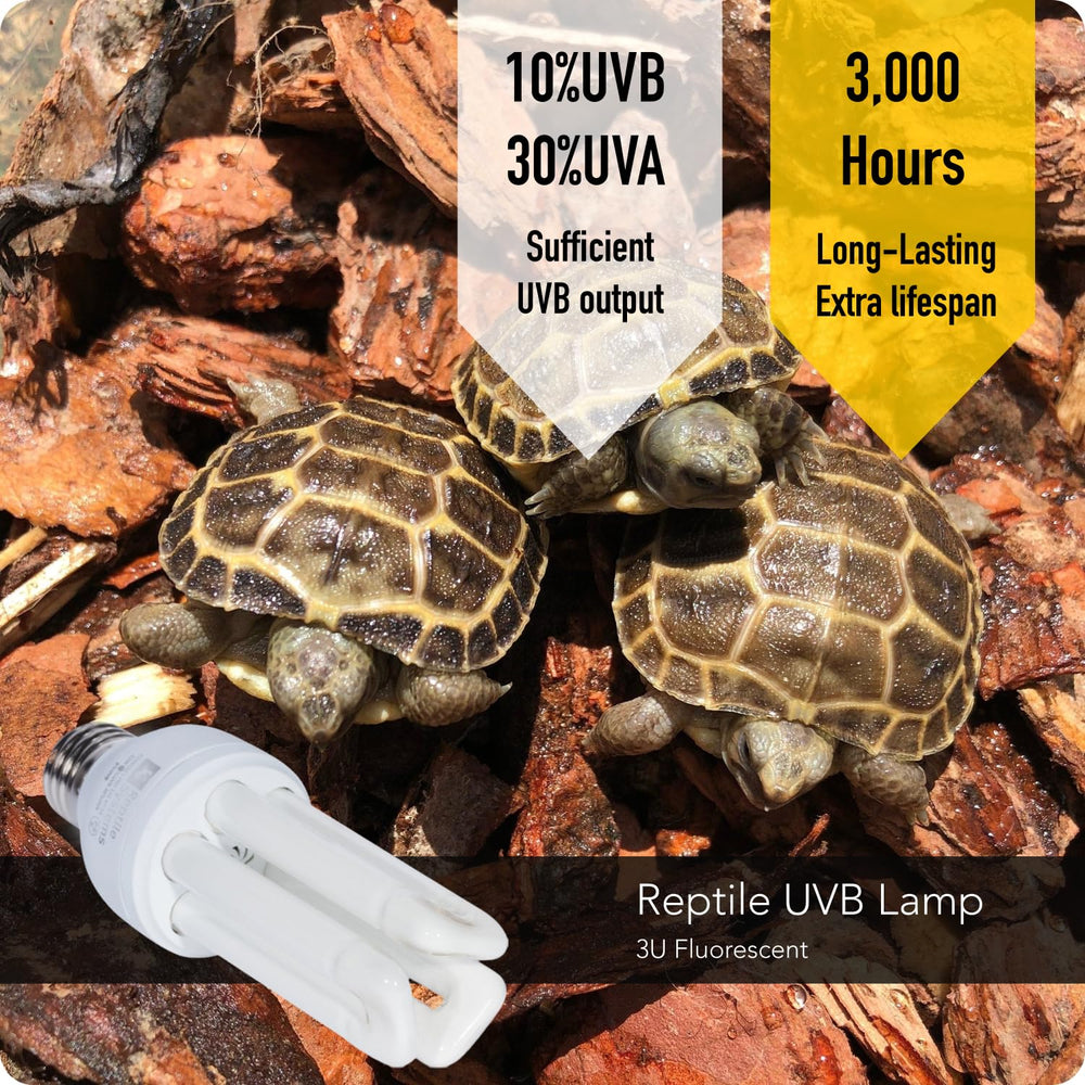 MRREPTILE UVB Reptile Light installed in desert bearded dragon terrarium basking
