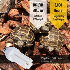 MRREPTILE UVB Reptile Light installed in desert bearded dragon terrarium basking