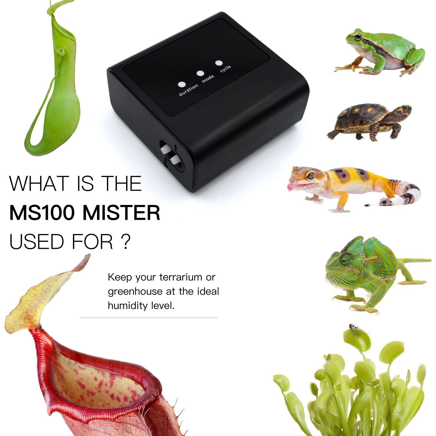 MRREPTILE Reptile Mister MS100 reliable warranty and responsive support.