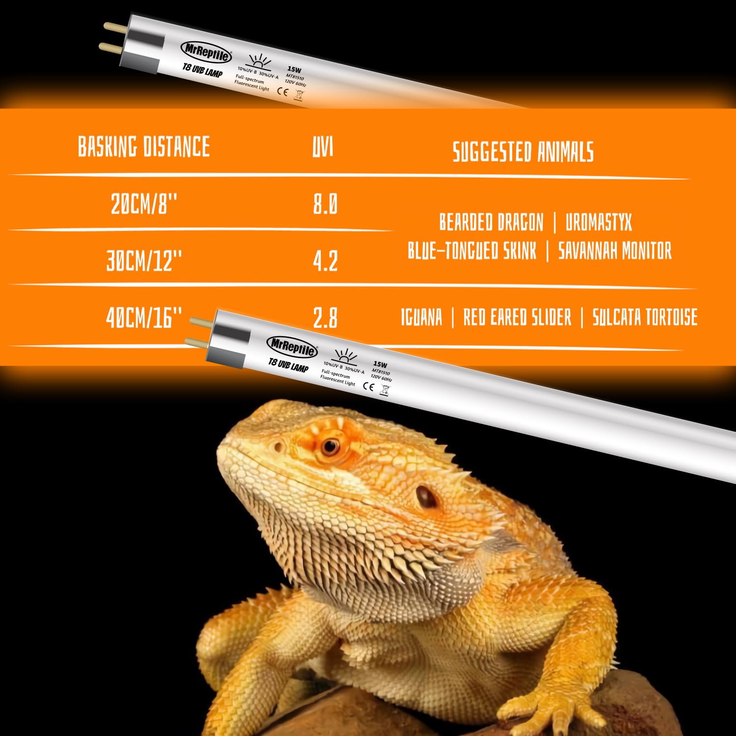 MRREPTILE T8 UVB bulb in a desert enclosure setup highlighting a sun-like spectrum.