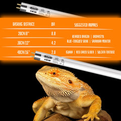 MRREPTILE T8 UVB bulb in a desert enclosure setup highlighting a sun-like spectrum.