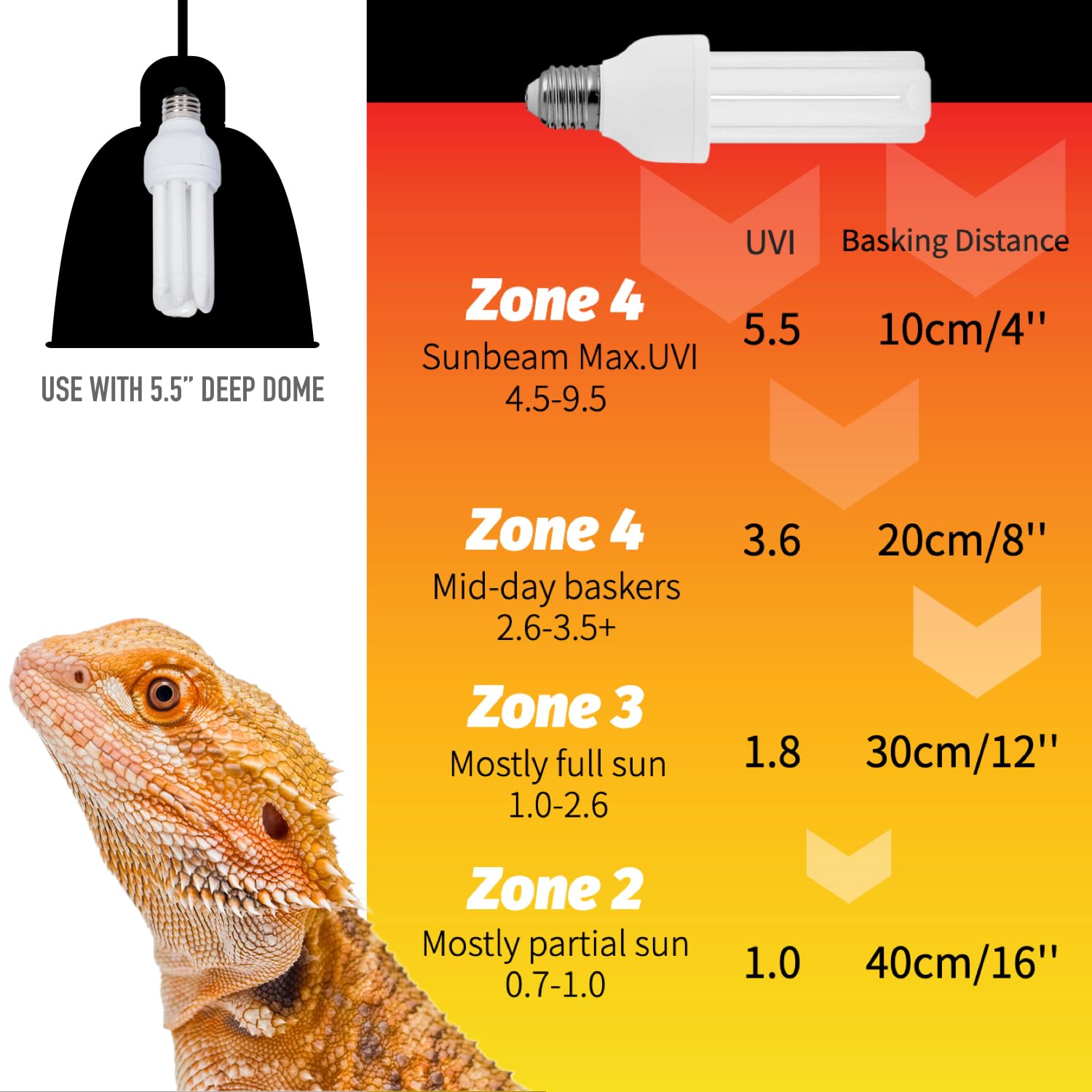MRREPTILE UVB Reptile Light shows UVB-transmitting glass with strong output