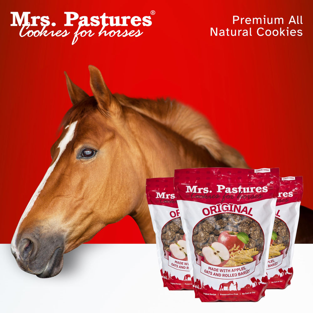 Mrs. Pastures dehydrated cookies closeup highlights crispy texture that travels well.