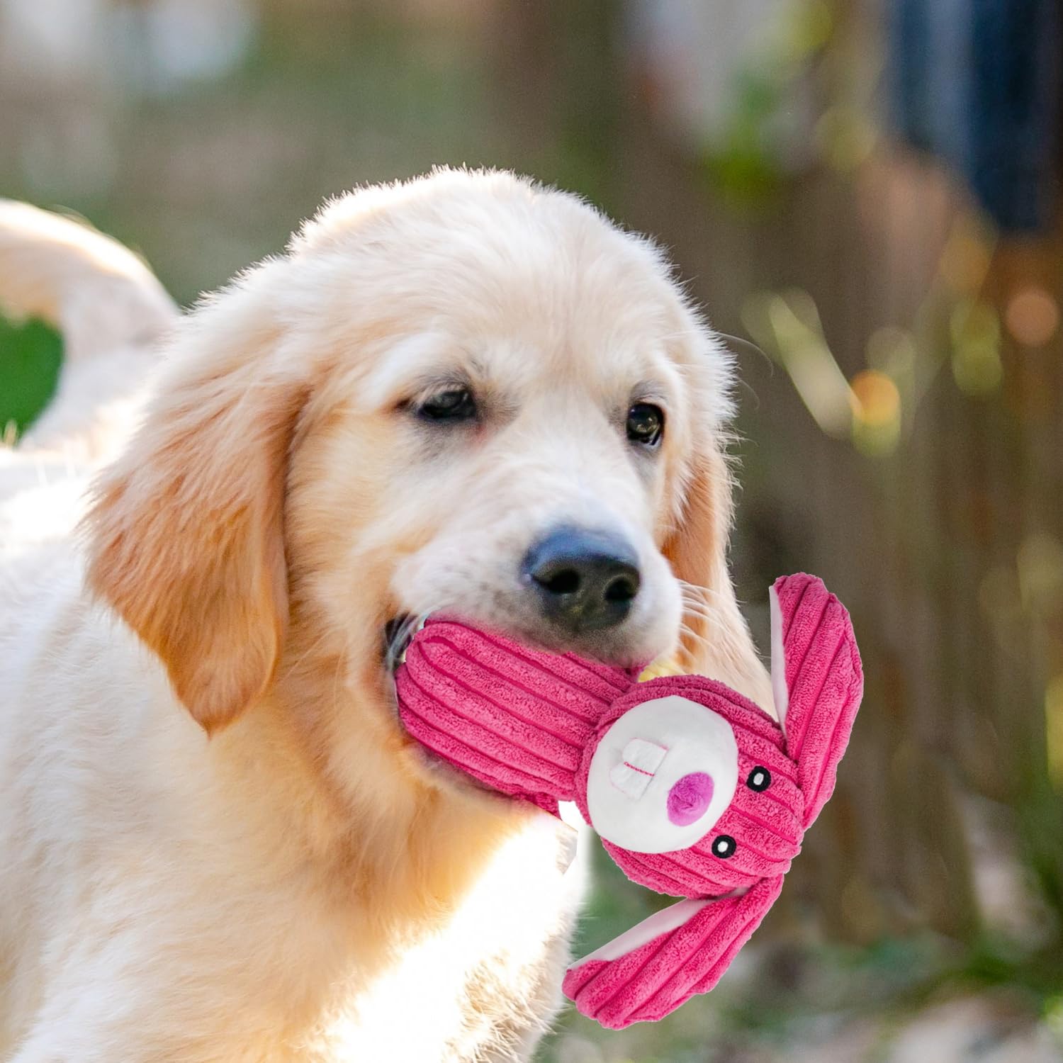 MRSOHRET close-up squeaker dog toy highlights durable stitching and safety