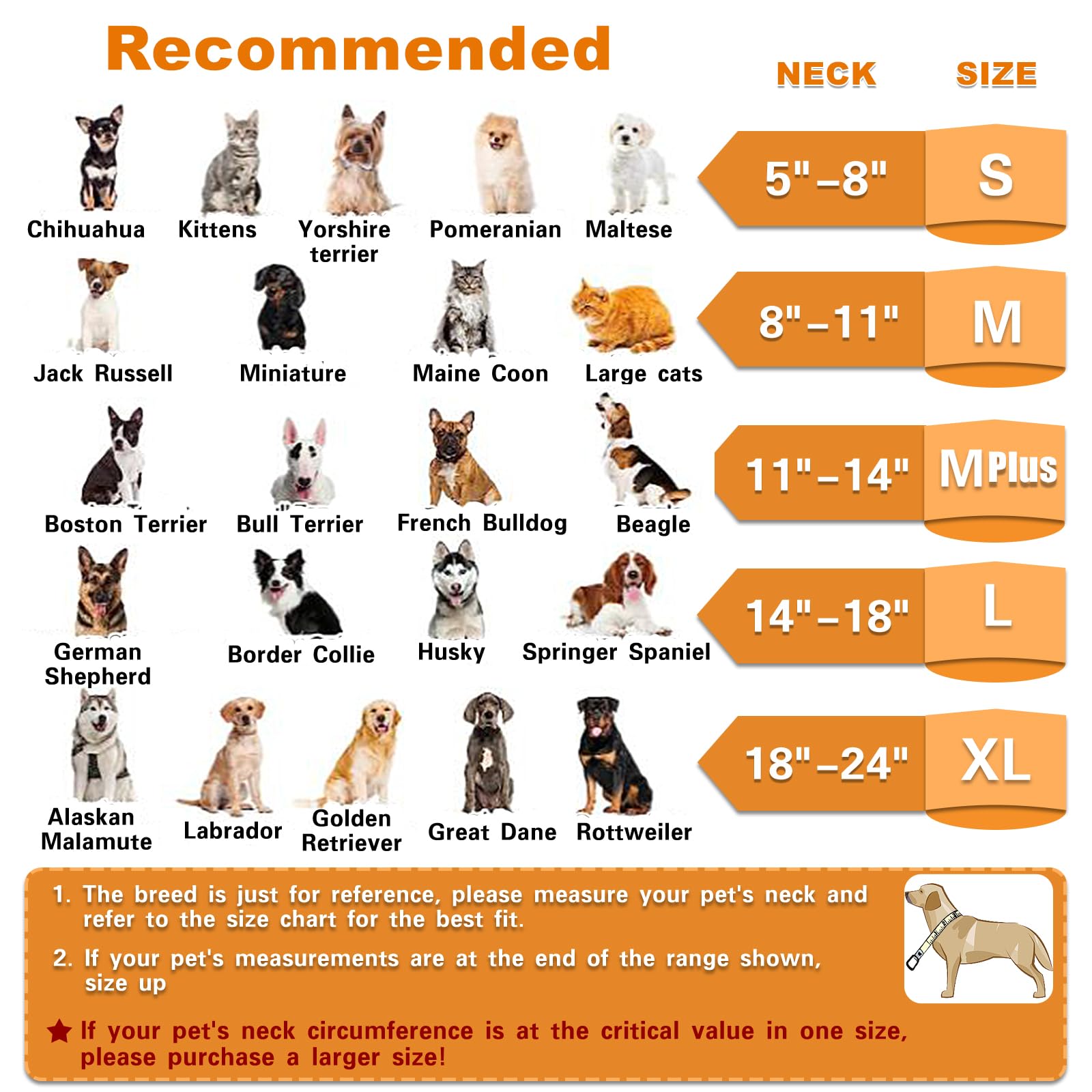 MRSOHRET inflatable dog cone demonstrates easy inflation and clear vision.