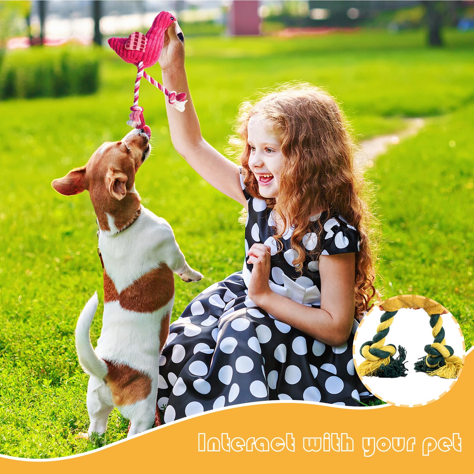 MRSOHRET gift-ready packaging highlights versatile dog toys.