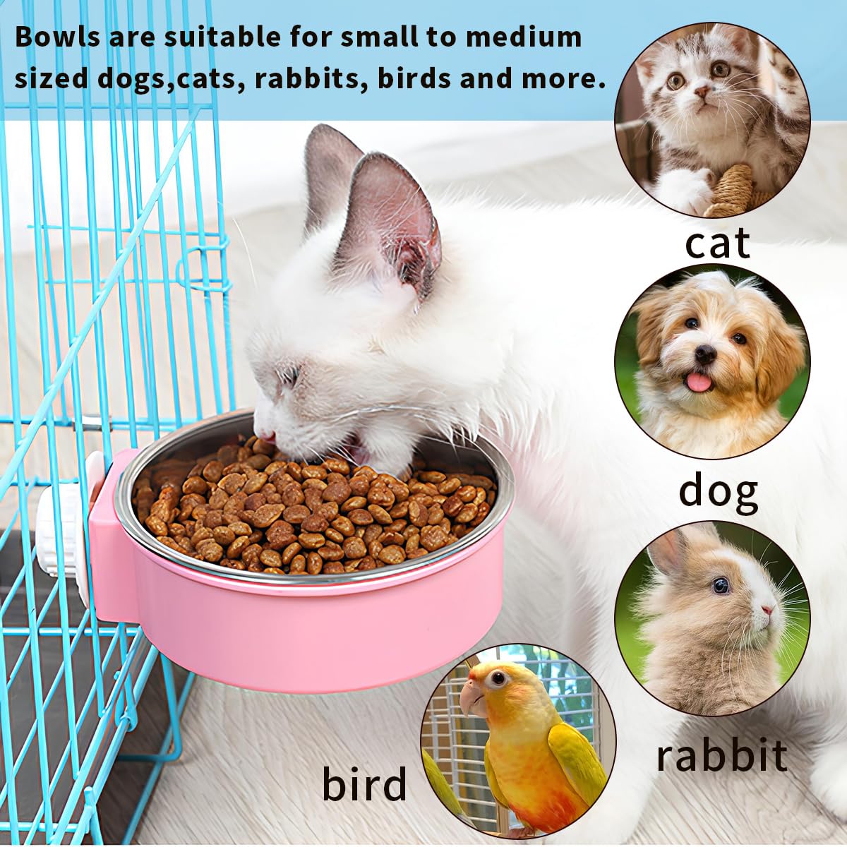 MRSXXNTY blue color pet bowl fits small pets and adds color.