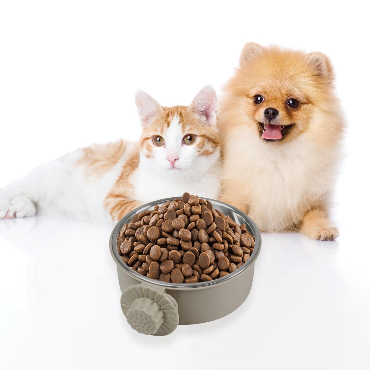 MRSXXNTY gray stainless steel bowls in use with small pets
