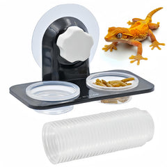MRTIOO crested gecko feeding ledge closeup with secure non-suction mounting