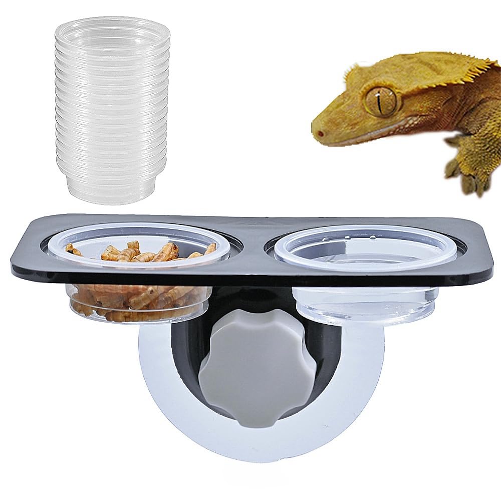 MRTIOO feeding ledge mounted on glass cage for stability