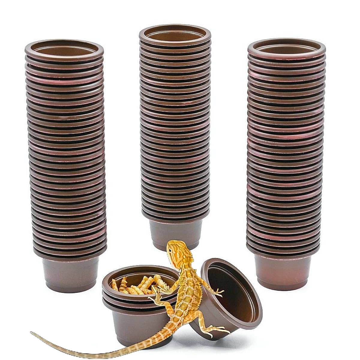 MRTIOO eco cups set of 100 in dark color for durable reptile feeding