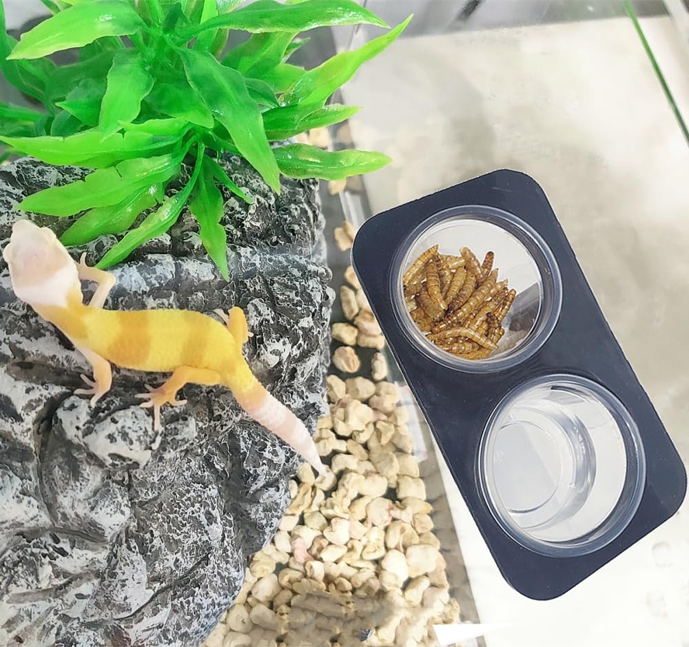 MRTIOO transparent cups offer clear food viewing