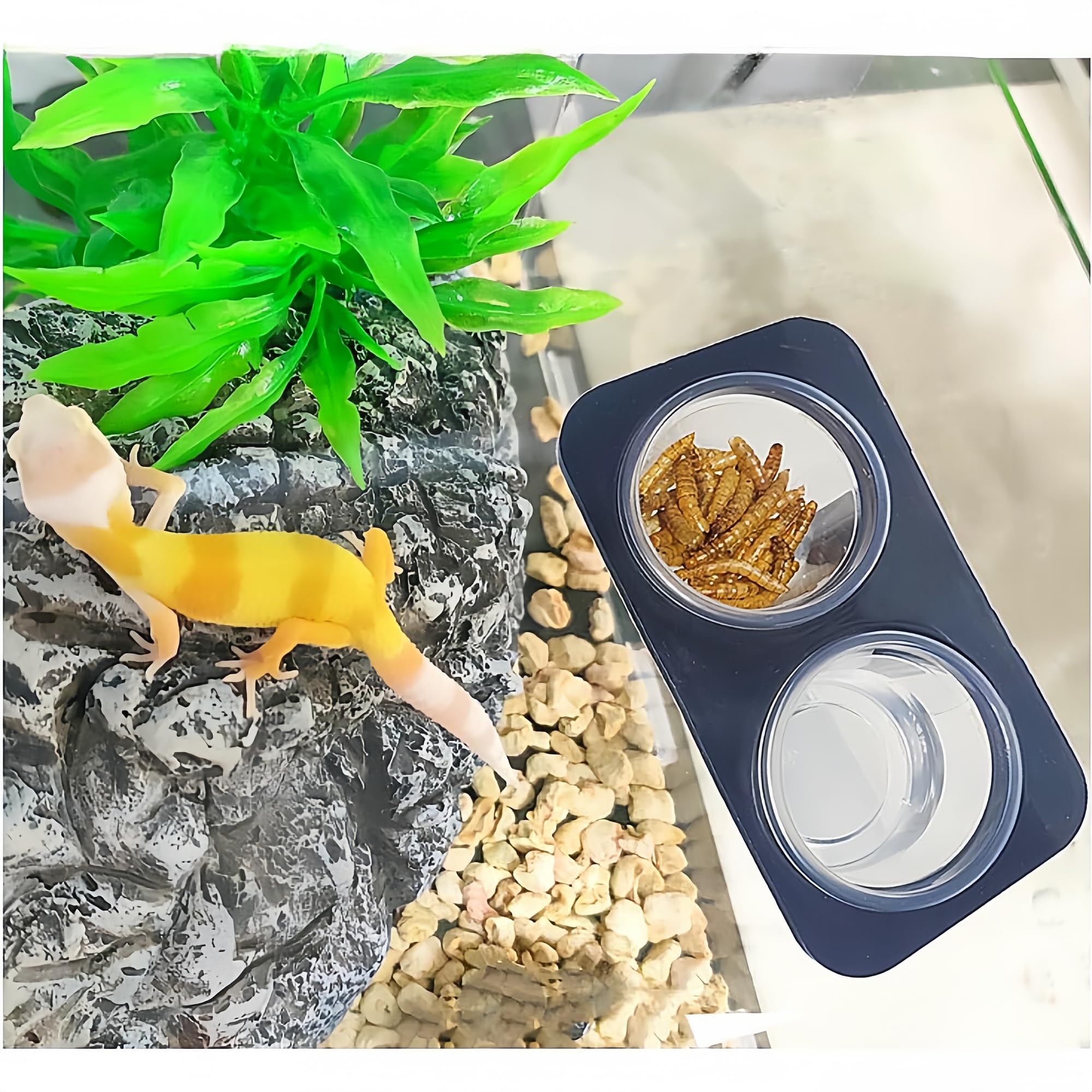 MRTIOO water and food cups in a clear design for daily use