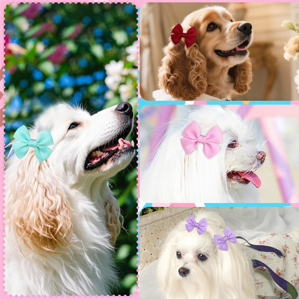 Mruq pet colorful bows for small dogs ideal for everyday fashion.