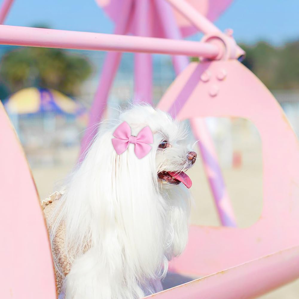 Mruq pet daily-wear bows suitable for everyday styling.