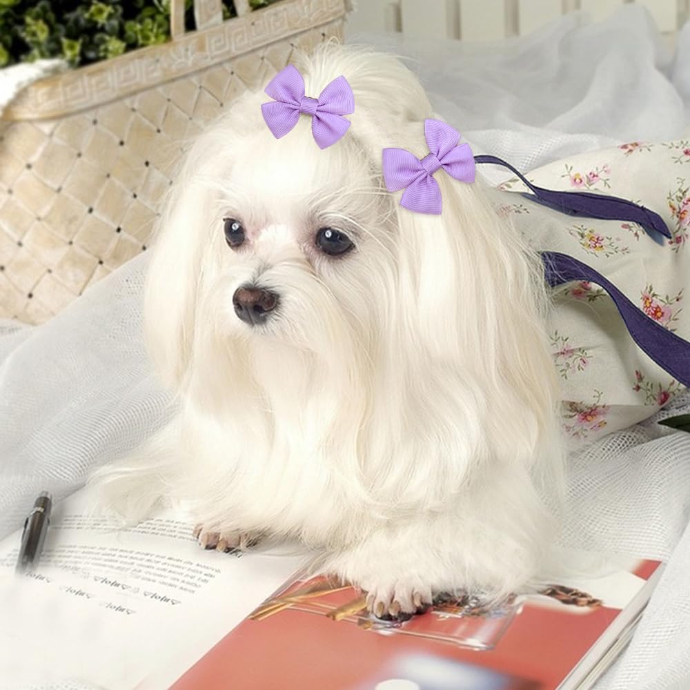 Mruq pet gift-ready bows perfect for celebrations.