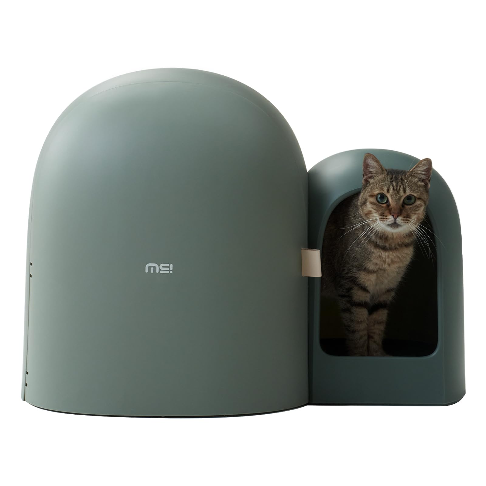 MS!MAKE SURE cat litter box front view in moss green, large enclosed design