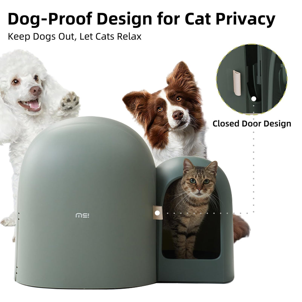 MS!MAKE SURE cat litter box lid open, showing interior space