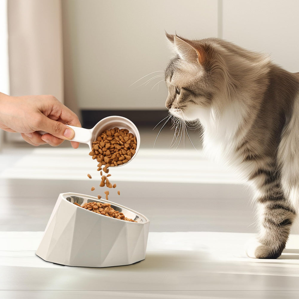 MSBC dishwasher-safe pet scoop after cleaning and ready for reuse.