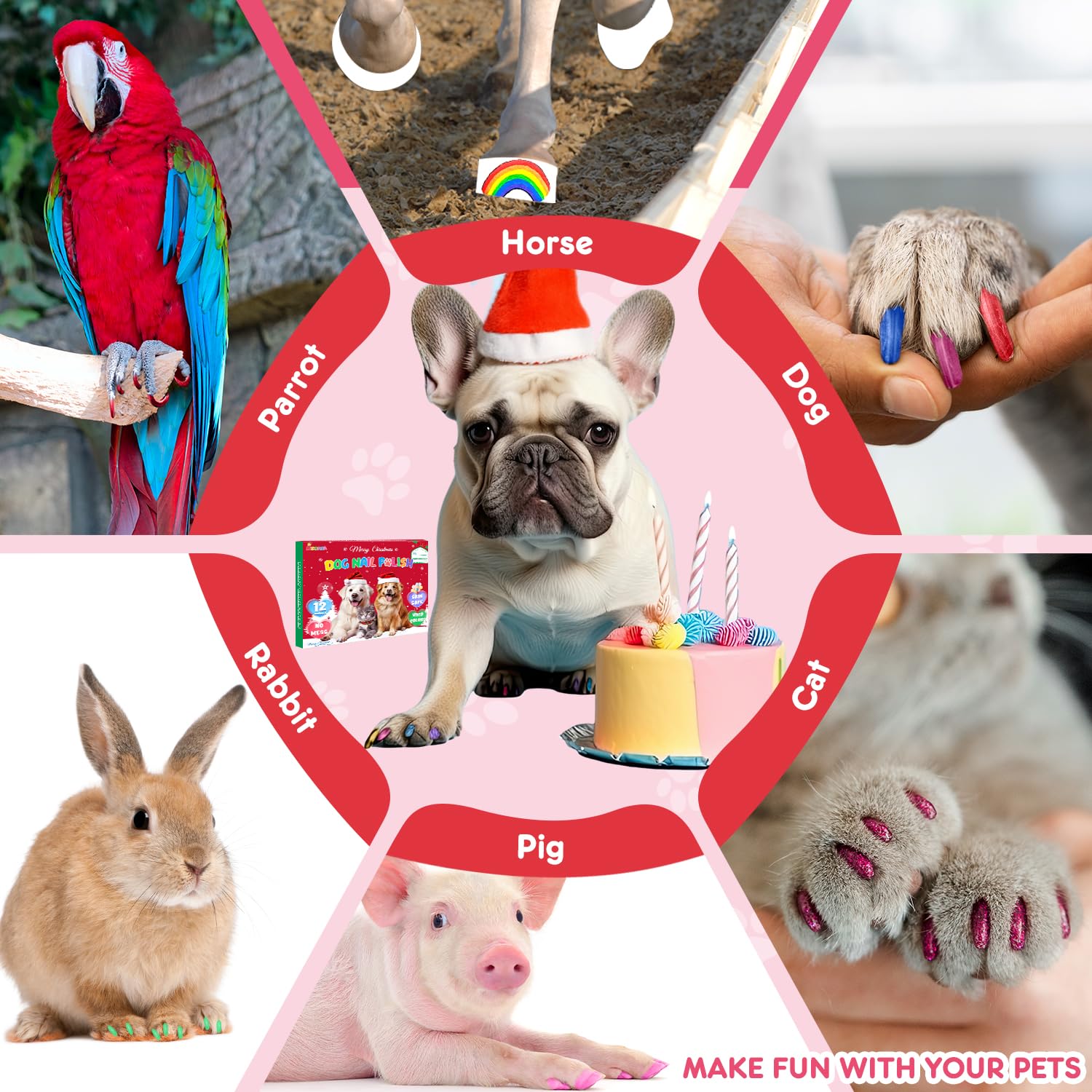 MSDADA party-ready paws demonstration for special-occasion pet looks.