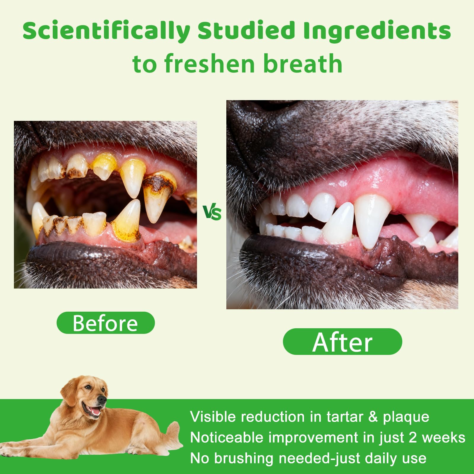 Mshuheene dog dental powder demonstrates potential fresher breath after daily use.