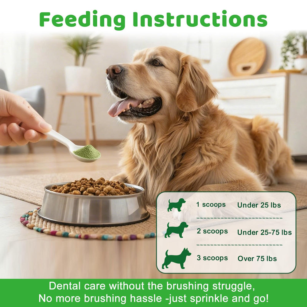 Mshuheene dog dental powder natural ingredients blend including peppermint and green tea.