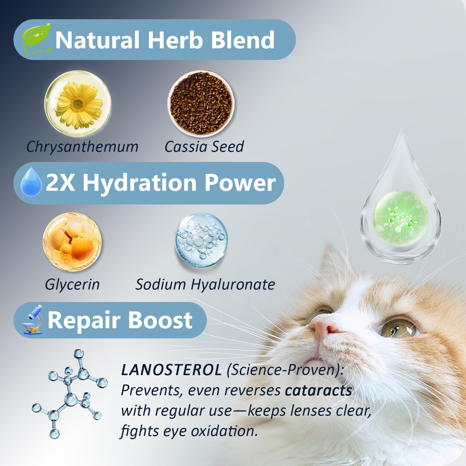 Msktasy-detailed-label-ingredients features a Lanosterol-based, alcohol-free formula