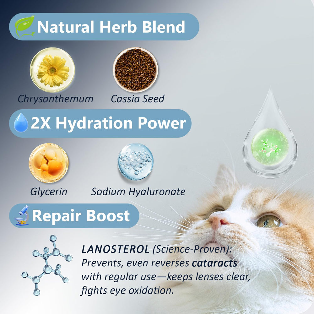 Msktasy-detailed-label-ingredients features a Lanosterol-based, alcohol-free formula