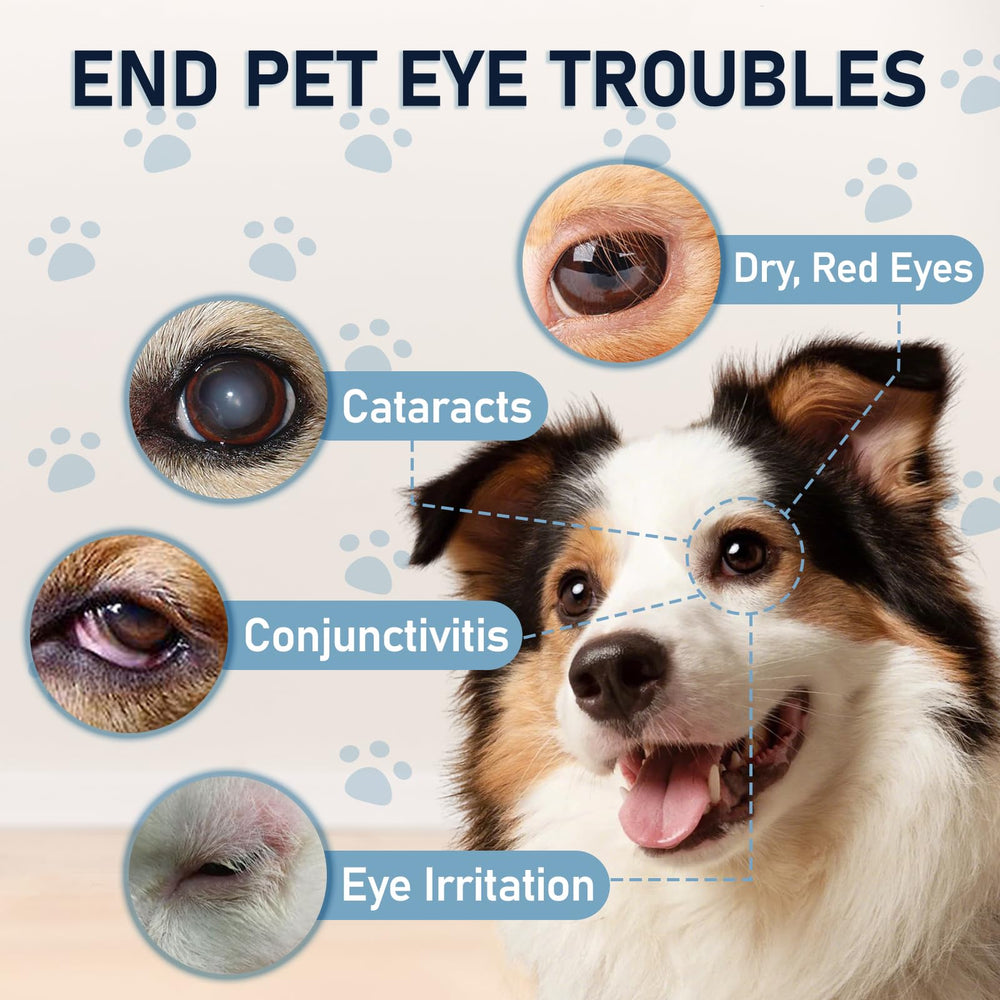 Msktasy-two-pack-eye-drops emphasizes long-term care value in home and travel