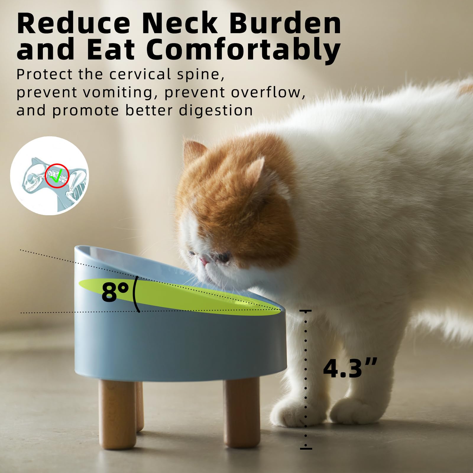 MS!MAKE SURE lead and cadmium free materials ensure safe dining.