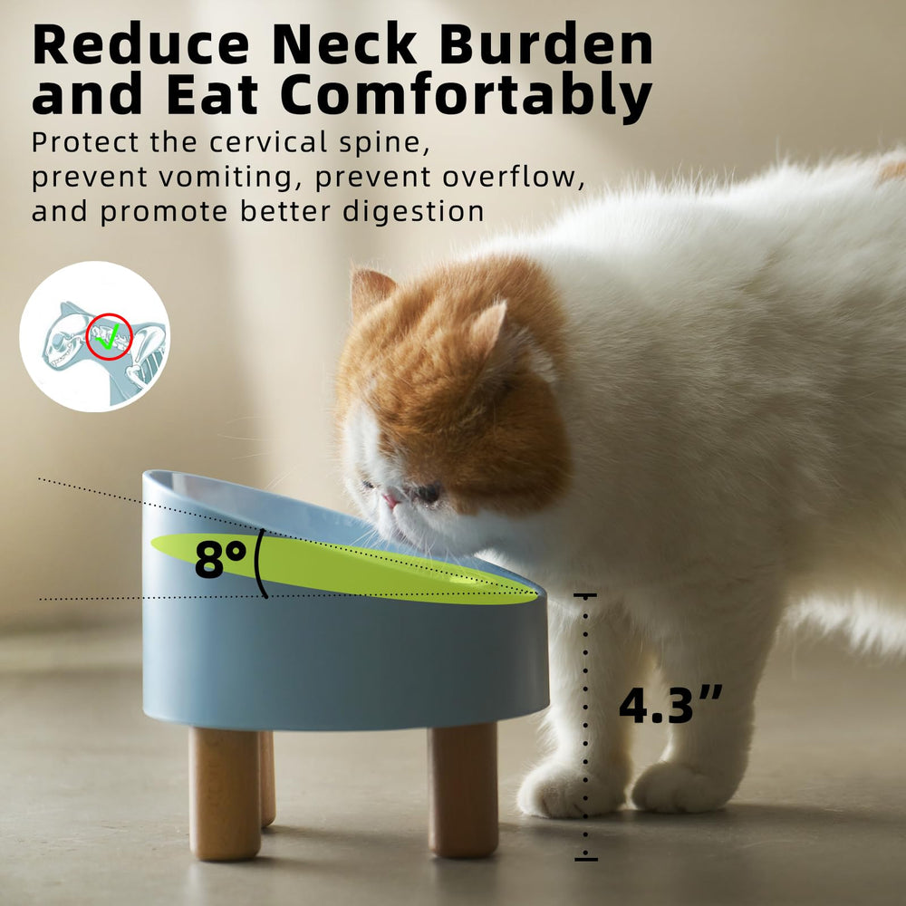 MS!MAKE SURE lead and cadmium free materials ensure safe dining.