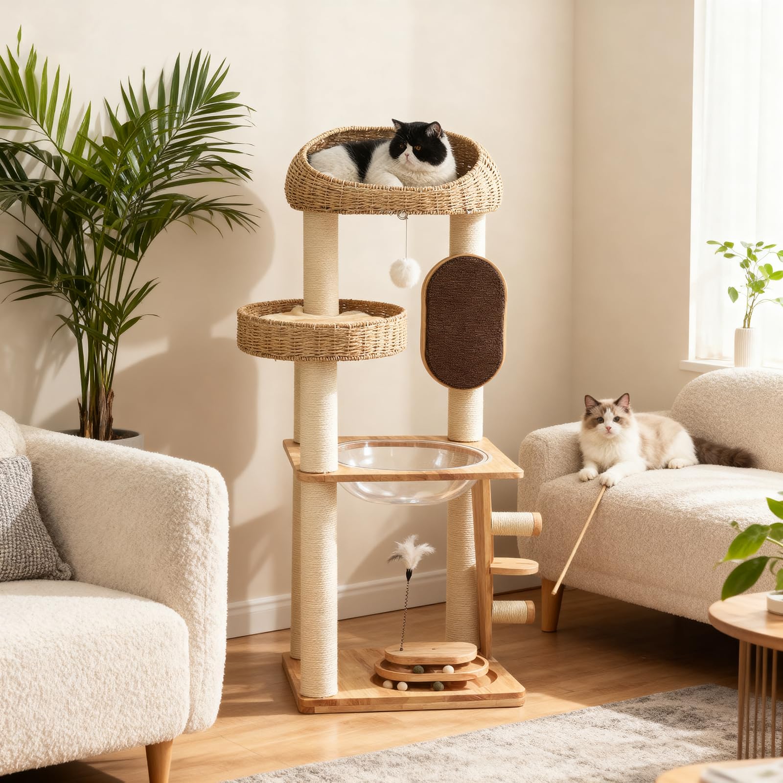MSNWCAAAT cat tree ladder accessibility helps seniors and kittens reach upper levels.