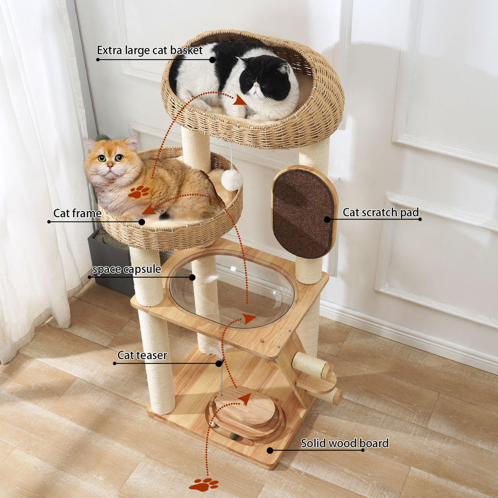 MSNWCAAAT hand-woven basket nest creates cozy elevated lounging.