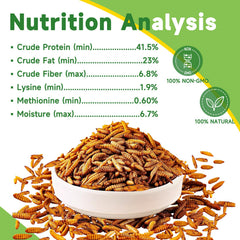 MTART larvae calcium-rich content aids stronger eggshells for layers.