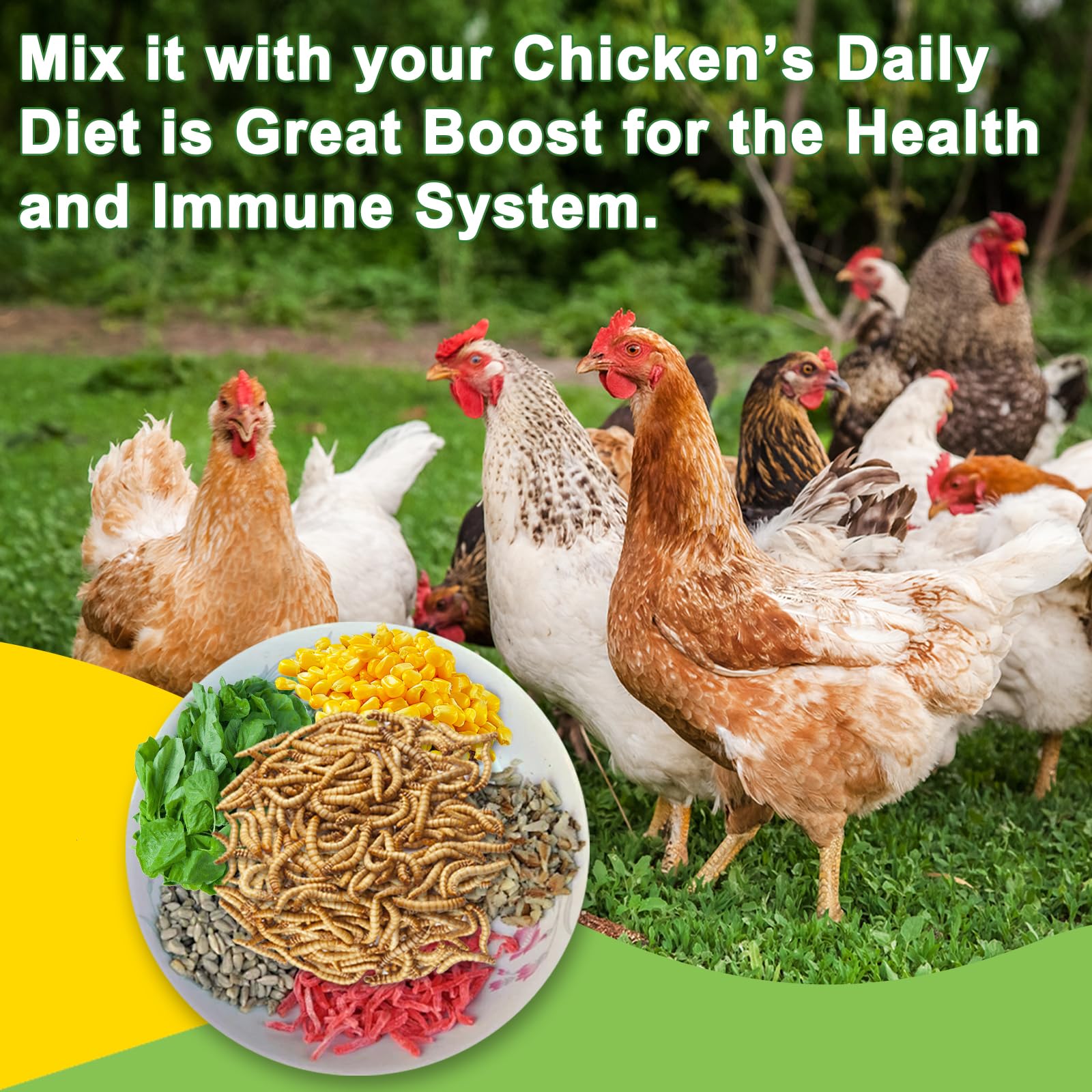 MTART larvae during molting may support feather regrowth in poultry.