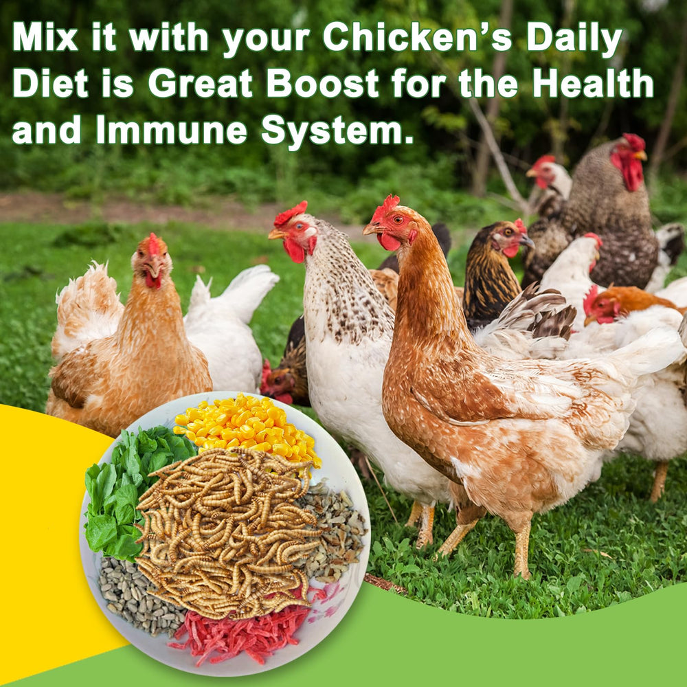 MTART larvae during molting may support feather regrowth in poultry.