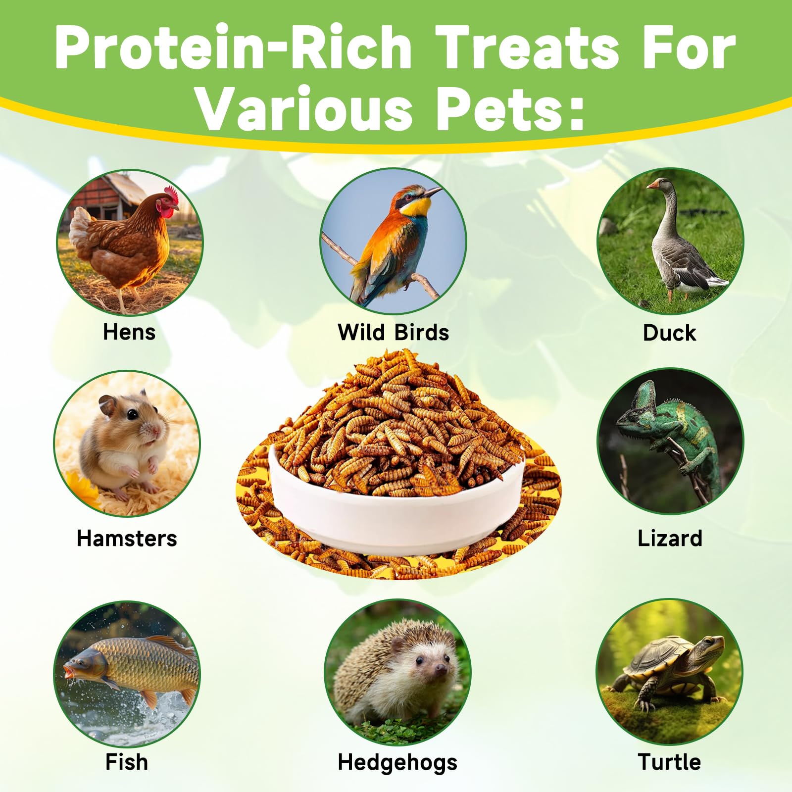MTART non-GMO larvae offer a safe, eco-friendly poultry treat.
