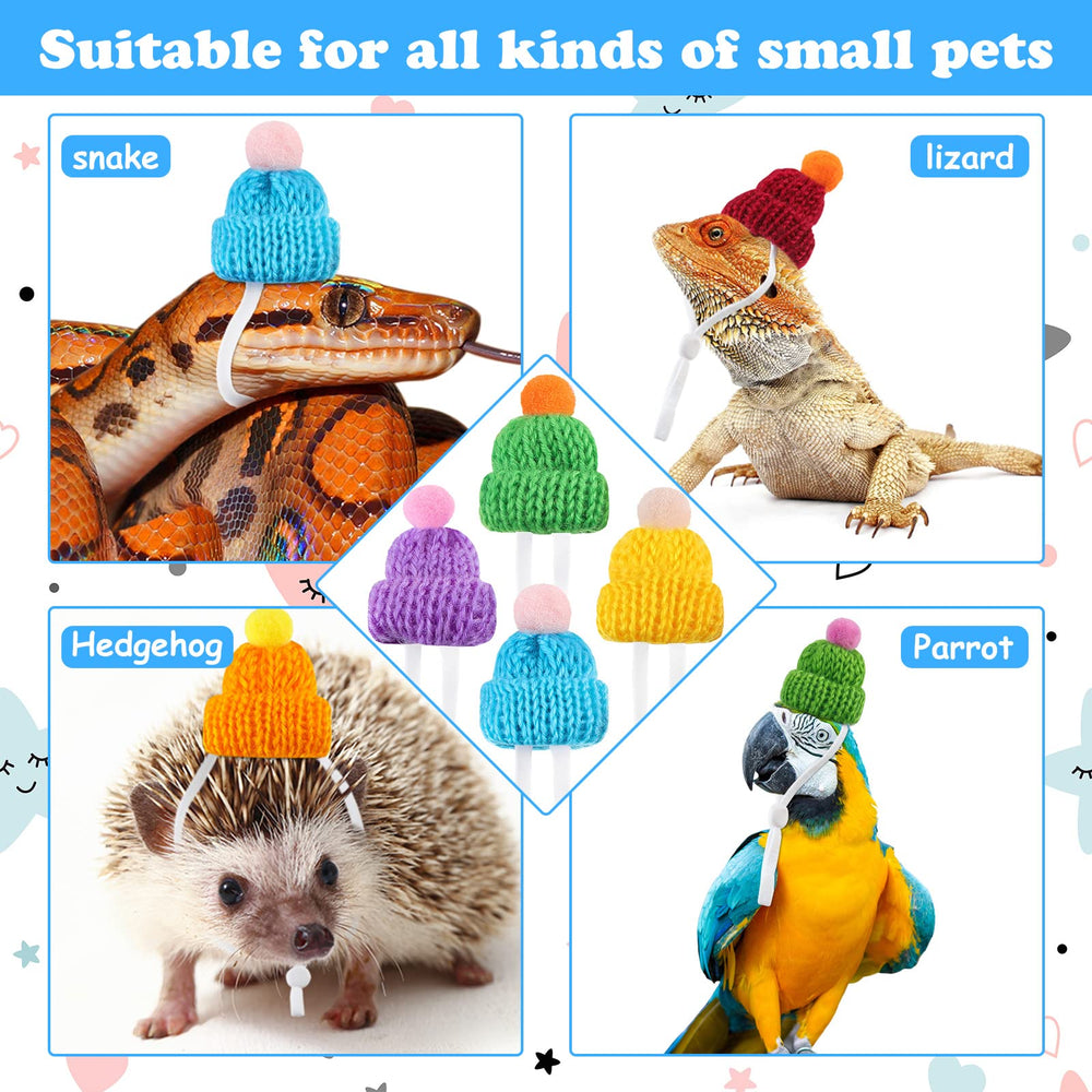 MTLEE hats designed for holiday occasions, parties, and cute costumes for pets