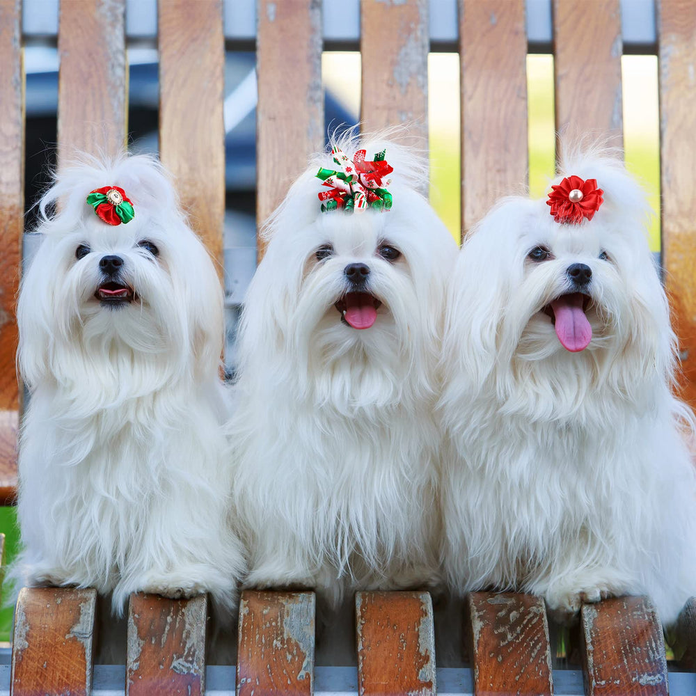 MTLEE lightweight fabric bows keep pets comfortable during wear.