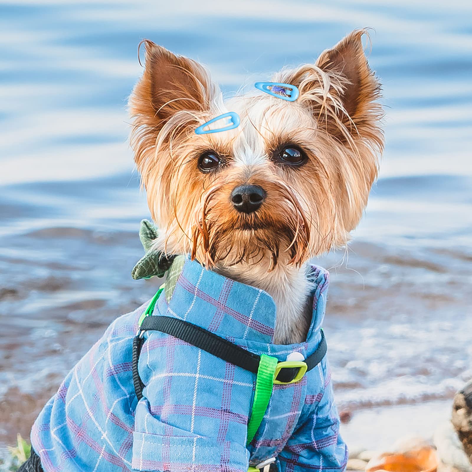 MTLEE dog hair clips colors variety highlights bright hues for styling