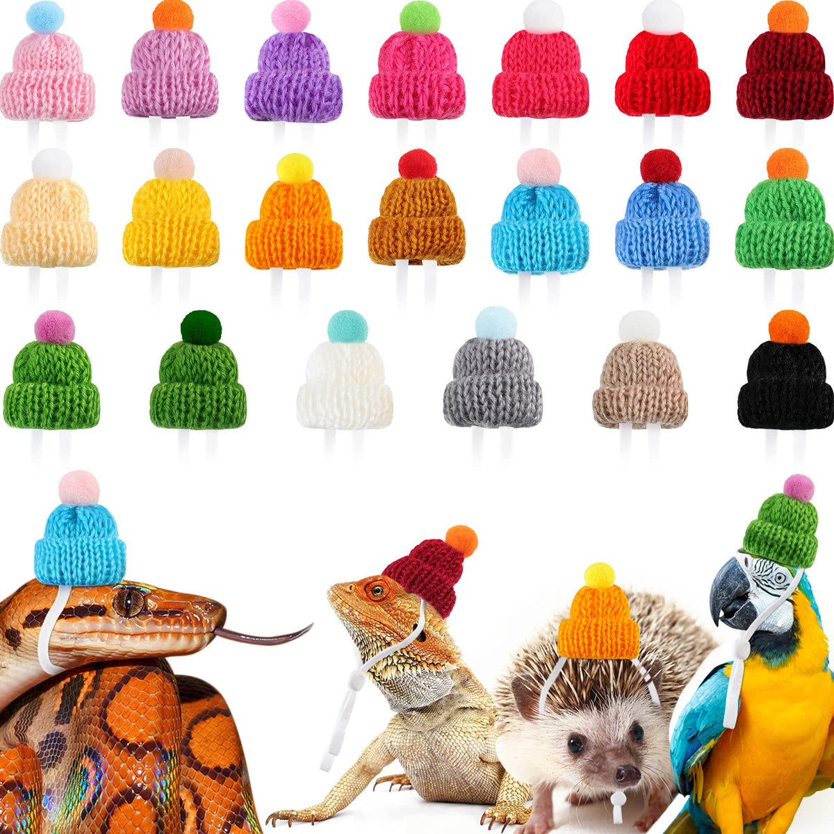 MTLEE mini pet hat pack with varied colors for reptiles and small pets, ideal for cute photos