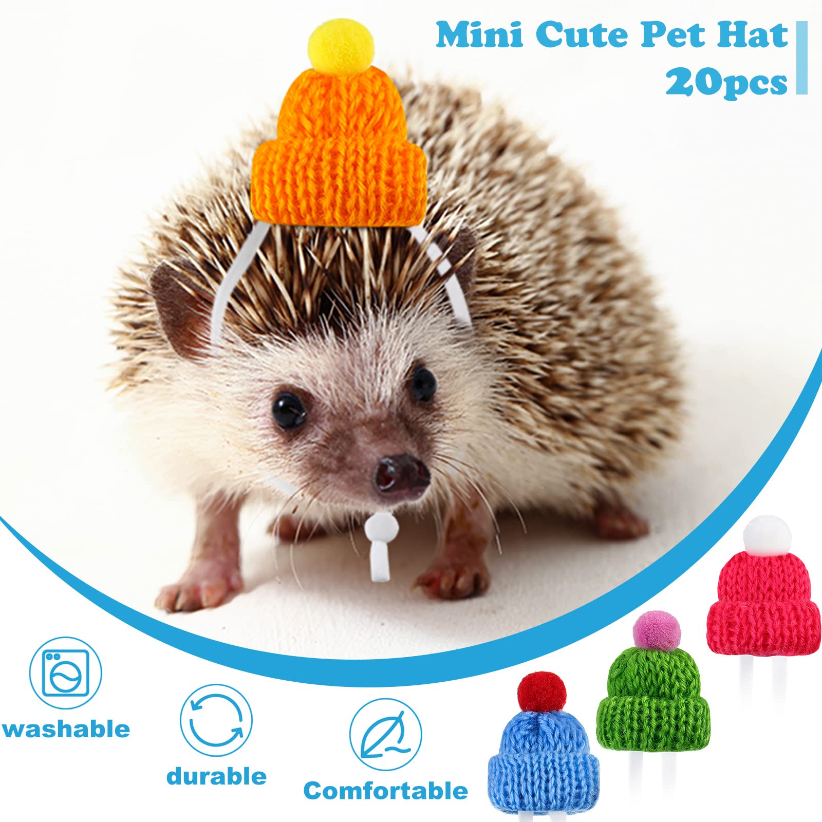 MTLEE pet hat for photoshoots highlighting playful fashion moments with your small companion