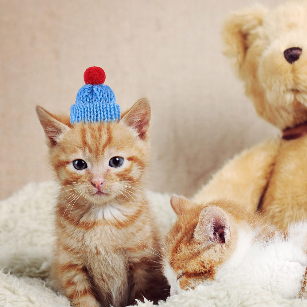 MTLEE mini animal hats collection enhances photos and daily wear for diverse small pets