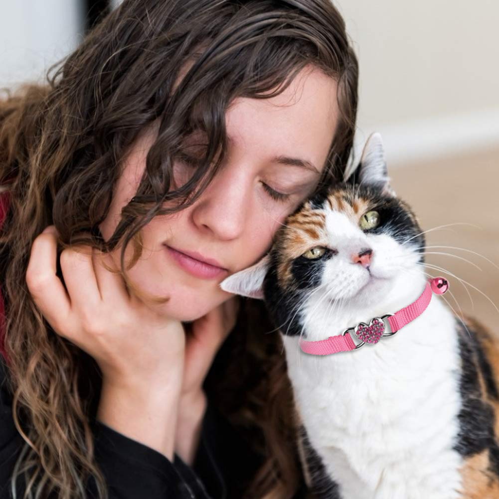 Mtliepte adjustable strap collar closeup reveals neck-fit versatility for cats