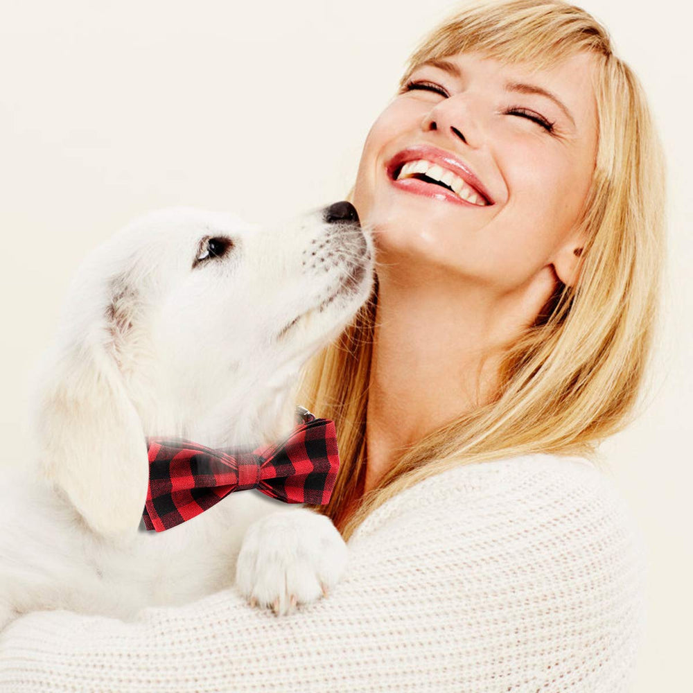 Mtliepte model wearing plaid collar during outdoor stroll.