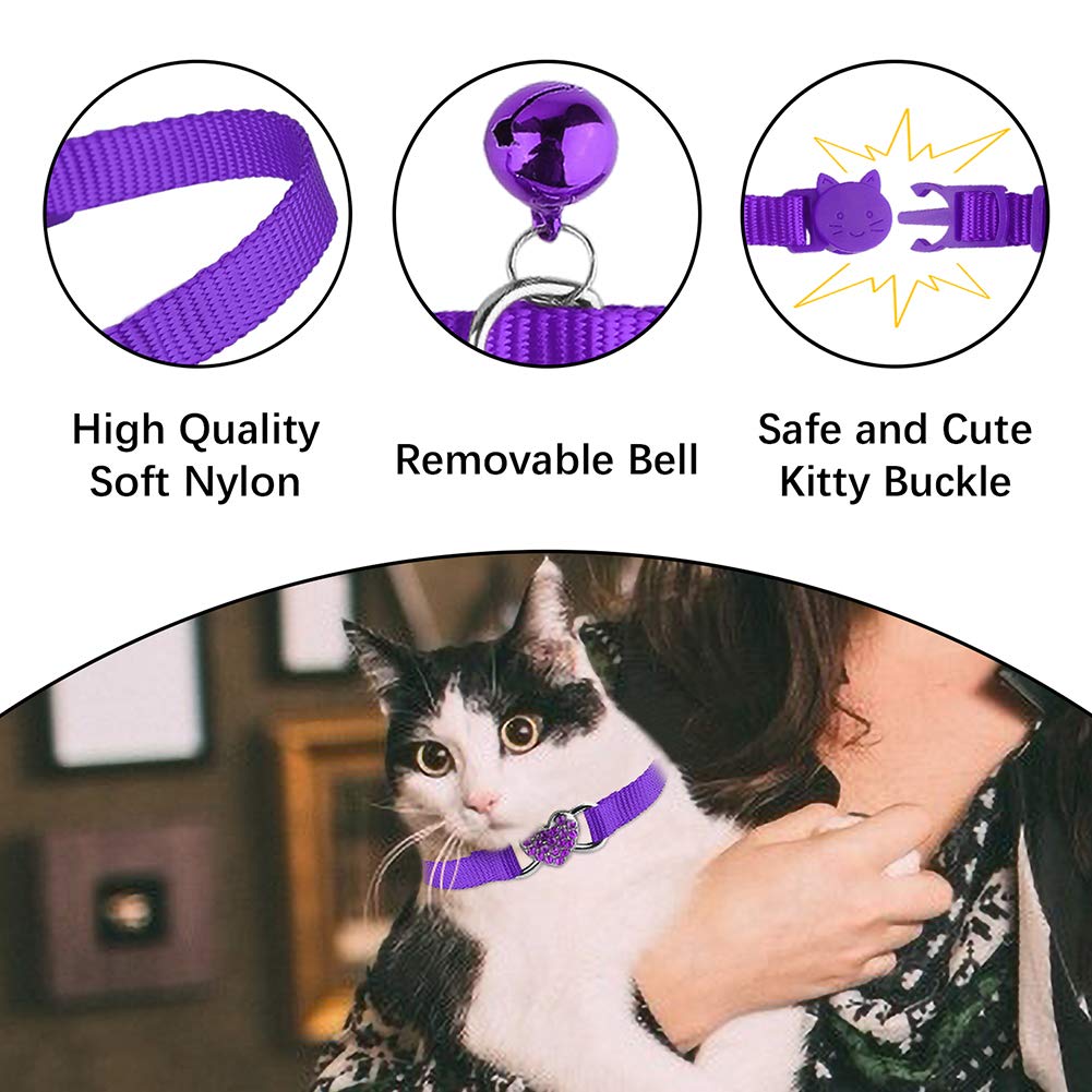 Mtliepte two-pack display shows color variety for pets