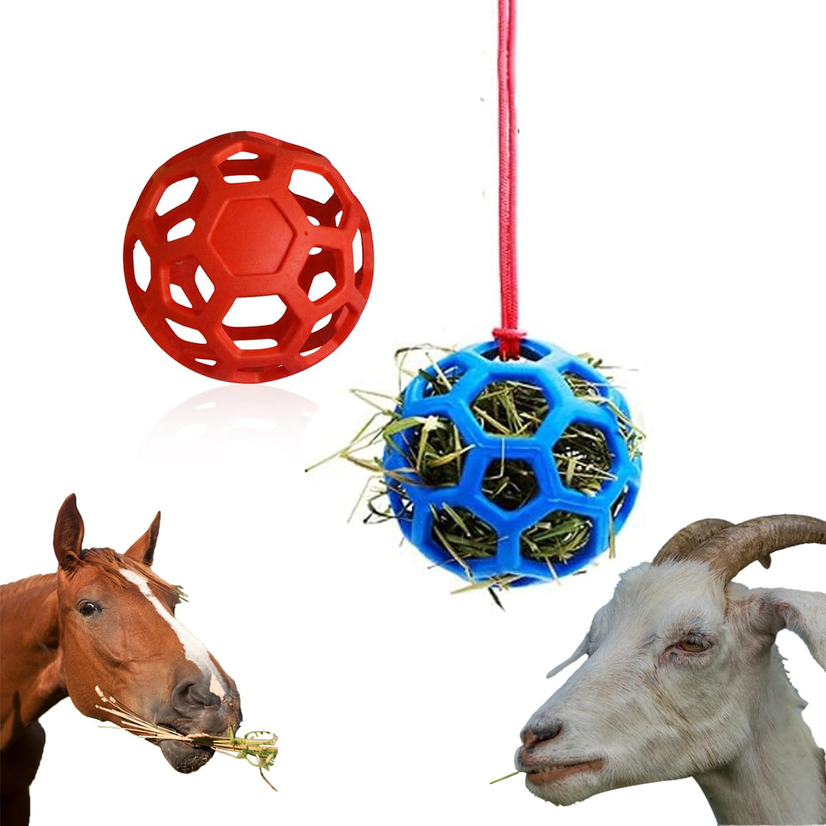 Mtuiewo hay ball paddock play: engaging activity for horses