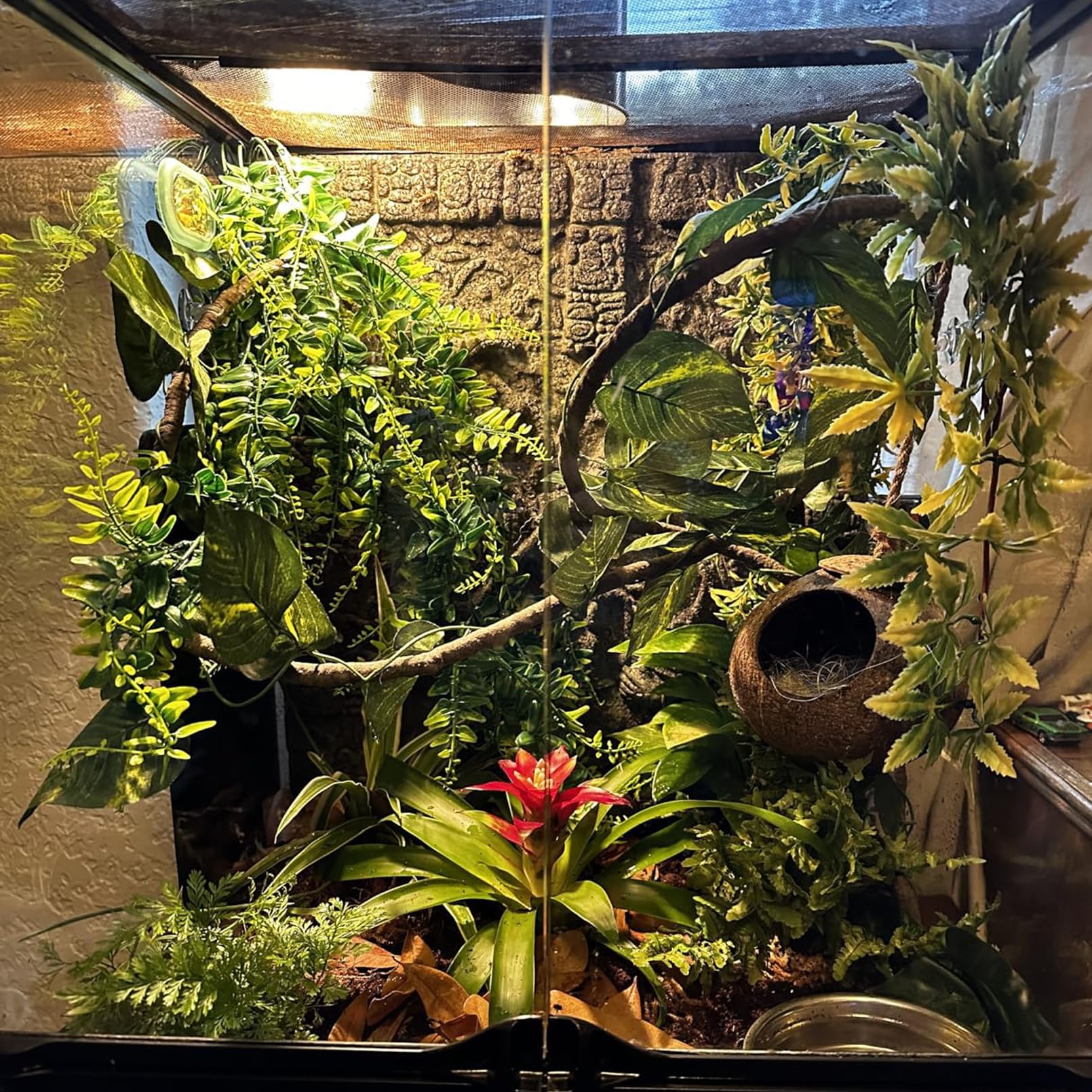MUYG Crested Gecko Coconut Hut – hanging cave den with vines for enrichment