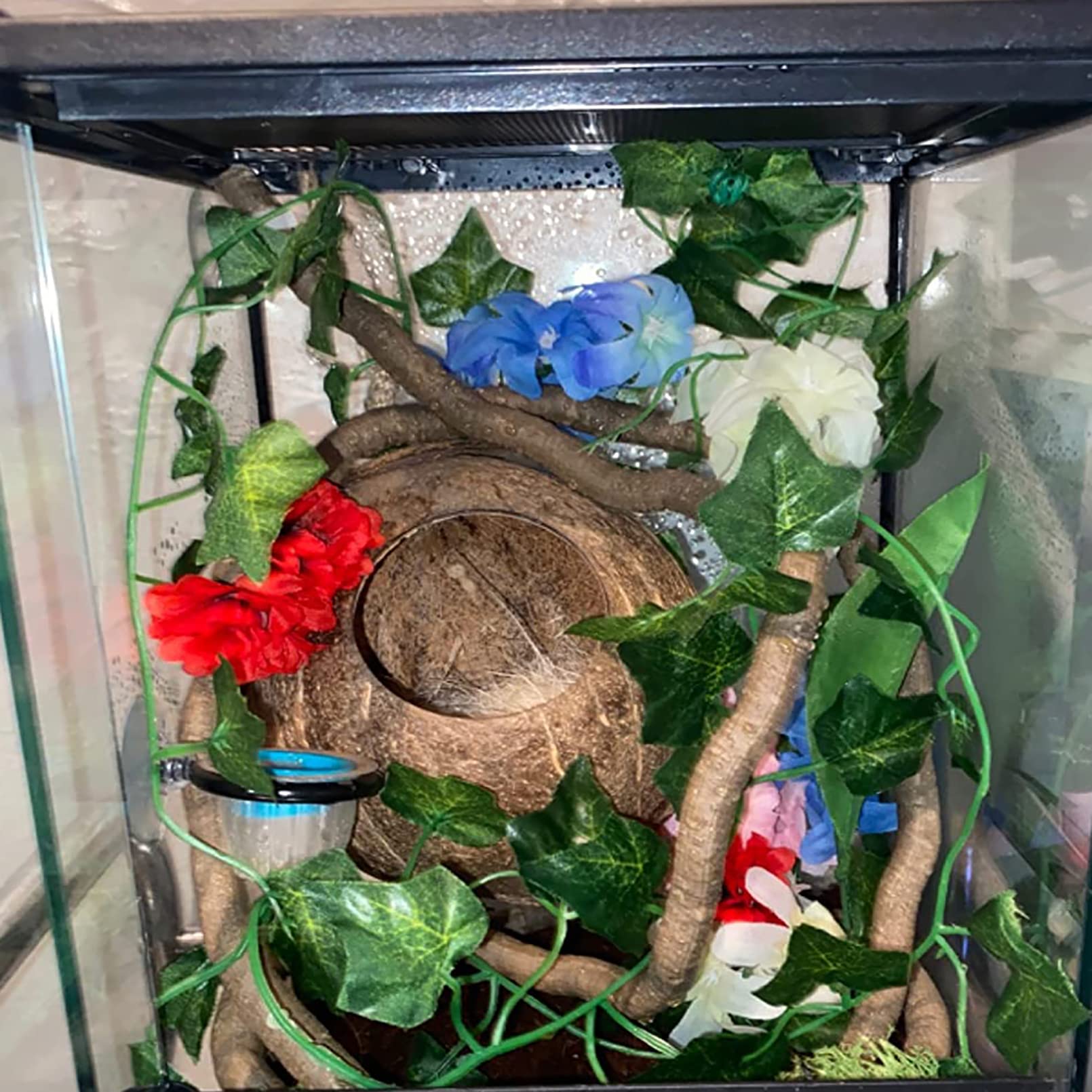 MUYG Crested Gecko Coconut Hut – compact size fits lizards, geckos, snakes
