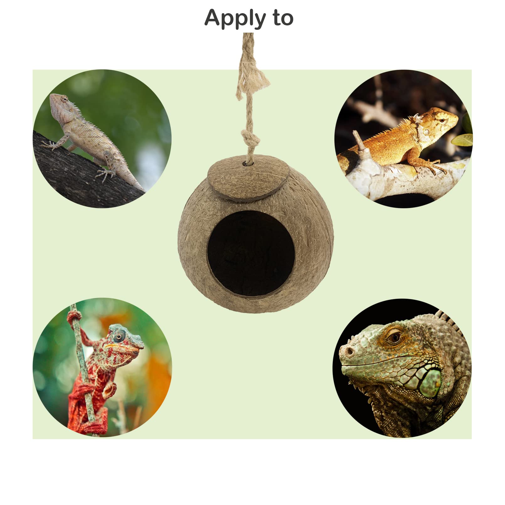 MUYG Crested Gecko Coconut Hut – 4-piece set enhances habitat aesthetics